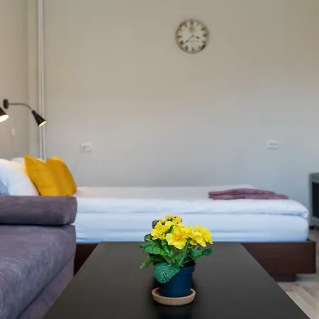 Compact Near Food Market In The Oldtown Free Parking Apartment