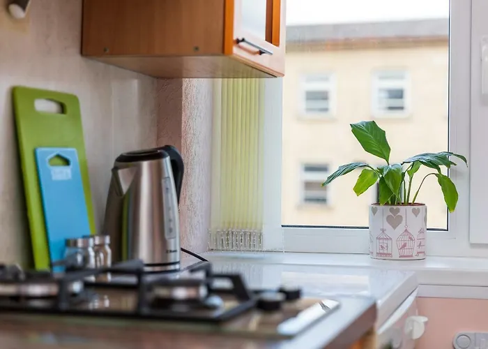 Compact Near Food Market In The Oldtown Free Parking * Klaipeda