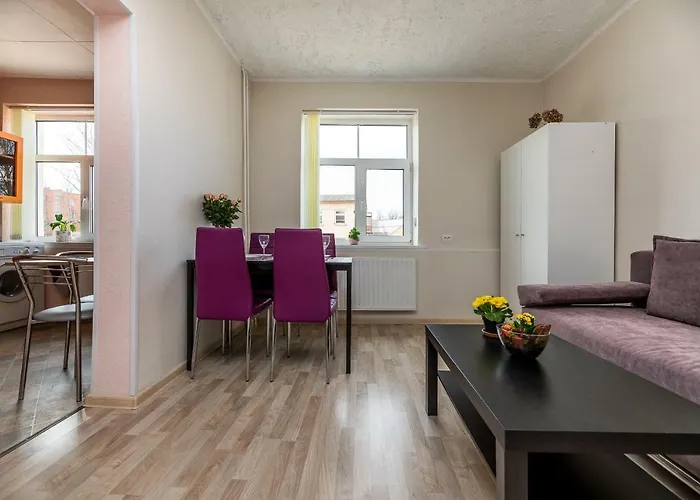 Compact Near Food Market In The Oldtown Free Parking Apartment Klaipeda